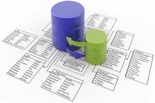 Database Design and Development